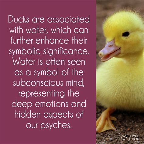 odd duck meaning, definition, examples, origin, synonyms.